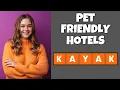 How To Book Pet Friendly Hotels On Kayak com Step By Step Guide - Kayak com Tutorial