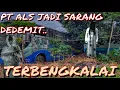 Lagu NASIB PT.ALS YANG TERBENGKALAI .‼️TEMPAT BERSARANG DEDEMIT.‼️