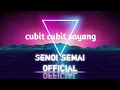 Download Lagu cubit cubit sayang cover instrumen [ senoi semai official ]