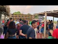 Download Lagu VESPERAL DA IRIE FM VIP LION NA BEIRA DA COSTA BACURITUBA