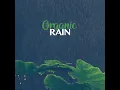 Raining in the Yard