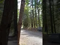 Kaner Flats campground Hwy 410