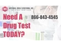 Drug Screening Test US Locations Same Day Drug Test