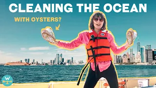 FILTERING THE LITERAL CRAP 💩 OUT OF THE OCEAN