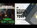 Download Lagu Kekuatan Harvey York Untuk Bangkit bagian 1231 - 1235