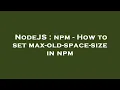 NodeJS npm - How to set max-old-space-size in npm