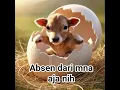 Download Lagu cintaku hanya kamu e o h...e o h #lucu #comedy
