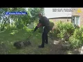 Wausau police arrest fowl fugitive in apartment