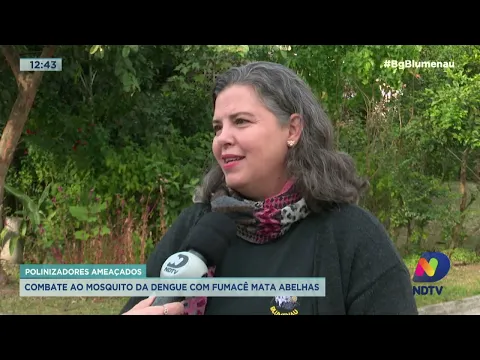 Polinizadores ameaçados: combate ao mosquito da dengue com fumacê mata abelhas