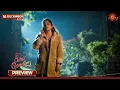 Lagu Singappenne - Preview | 16 Dec 2025 | Tamil Serial | Sun TV