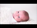 Download Lagu Newbornshoot in de fotostudio - Achter de schermen