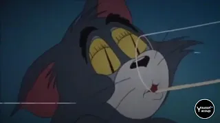 محطوط و القلب شايل بيموت من نومي بقوم مخضوض دندنها