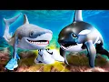 Download Lagu ORCALERO ORCALA SAD ORIGIN STORY! Italian Brainrot Animation