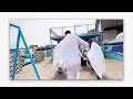 Download Lagu OFFICIAL VIDEO OUT || WE WILL BE MANY | SOUNDS OF SALEM