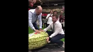 فتح أكبر بطيخة حمراء في العالم Shorts بطيخة حبحب 