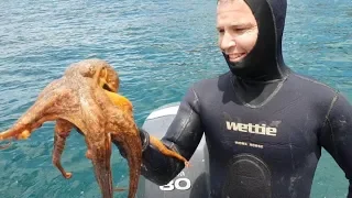 MY OCTOPUS TEACHER – Sailing catch clean cook – Ep -26