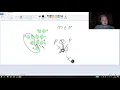 Let s Solve Even Tree HackerRank PL
