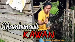 Download LAGU BANJAR LUCU_MAMBUNGULI KAWAN#lagubanjar#bungultambuk#hardykeyboard MP3