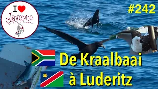 #242 De Kraalbaai à Luderitz
