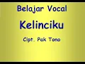 Download Lagu VOCAL KELINCIKU  Cipt. Pak Tono