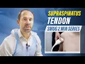 Supraspinatus Tendon - 2 min series MSKUS