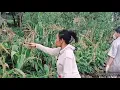 Download Lagu ILUSI TAK BERTEPI (MAHENDRA)