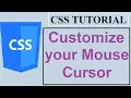 CSS Tutorials for Beginners - 15