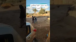 زيد سربي خويا وعطيني السم قلبي تعمر و اكتر عليا الهم 