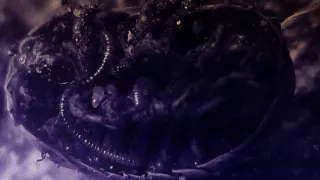 عن مضاجعة الواقع يوسف رخا علي طالباب 