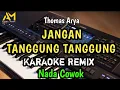 Download Lagu JANGAN TANGGUNG TANGGUNG KARAOKE REMIX NADA PRIA