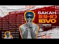 Download Lagu SAKAH - IRIBHO IBHO ( Ibvo Remake) ft Steezybeatz ( Director Morestix).