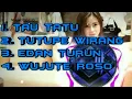 DJ TAU TATU - TUTUPE WIRANG - EDAN TURUN - WUJUTE ROSO