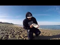 Fishing at Moss Landing PB Surf Perch