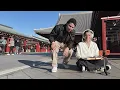 House set | Scenes from Japan | mix4two 🇯🇵🍜