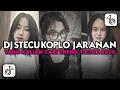 Download Lagu DJ STECU KOPLO JARANAN || DJ STECU STECU VERSI KOPLO VIRAL TIKTOK TERBARU 2025 YANG KALIAN CARI🔥