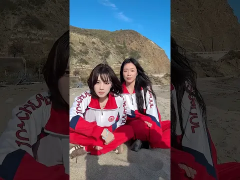 🦙 ❤️ 🐻
