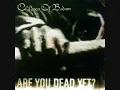 Children Of Bodom - In Your Face (hd)