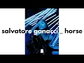 Salvatore Ganacci - Horse