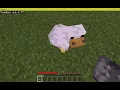 Explosive chicken with command blocks