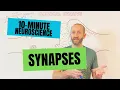 10-Minute Neuroscience Synapses
