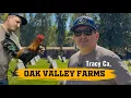 Visiting Compa Guero Oak Valley Game Farm
