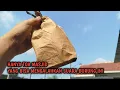 Download Lagu SUARANYA MENGGLEGAR, YANG TULI PUN BISA DENGAR SUARA BURUNG INI‼️