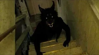 لما تكون طالع على السلم و تتخيل ان فيه حد معاك 