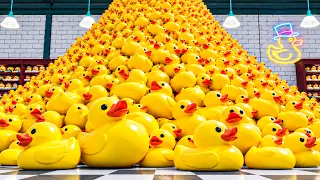 i had to sort these ducks