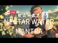 Download Lagu 甘露水真言 Nectar Water Mantra