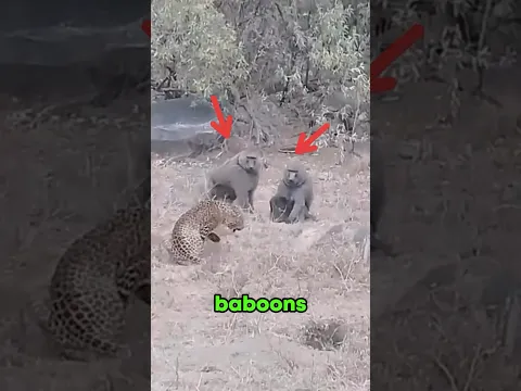 Animals With The Worst Luck You'll Ever See