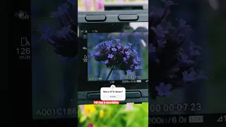 BTS Macro Video Tip How To Shoot Macro Video Videoproduction Filmmaking Sonycamera Burano 
