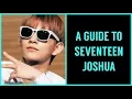 Download Lagu 👉A(n) (Un)helpful Guide To Seventeen Joshua👈