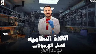 التنسيق الهرموني الغدة النخامية 2026 الجزء الثاني من شرح الغدة 