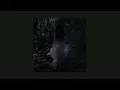 [30 mins loop] Lana Del Rey - Say Yes To Heaven